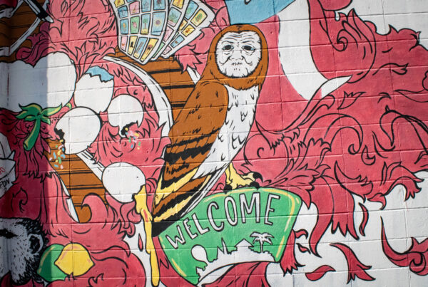 A detail shot of a mural showing an owl sitting on a "Welcome" sign. The owl has the face of an old woman, the characteristics of the cryptid La Lechuza.