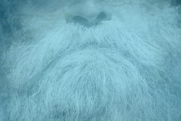 A close-up photo of the nose and chin of a man with a bushy grey beard. The photo has been altered to look bluish and old.