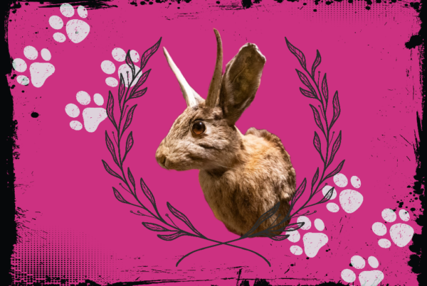 A photo of a mounted jackalope head is at the center of an illustration on a bright pink background. Paw prints are in the background.