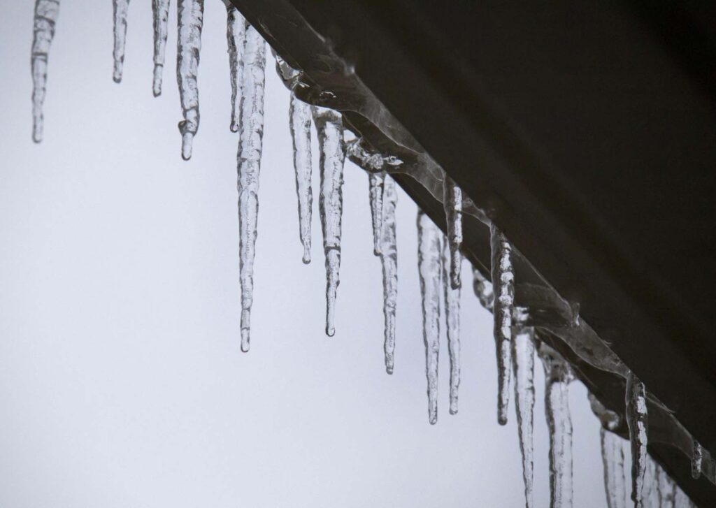 Texas Winter Storm: What to Know - The New York Times