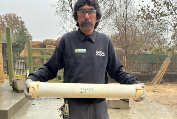 San Antonio Zoo discovers 30-year-old time capsule during construction