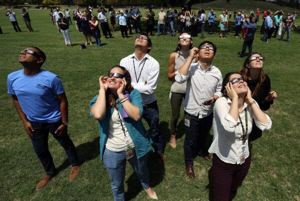 A group of people wearing eclipse glasses stare at the sky while standing in a lawn of green grass.