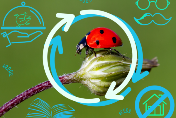 A close-up photo of a red ladybug with black spots sitting on a closed flower bud. Around it are blue and white illustrations of an open book, a platter with a small insect on it, a house with an 'x' sign over it and a disguise of glasses and a mustache.