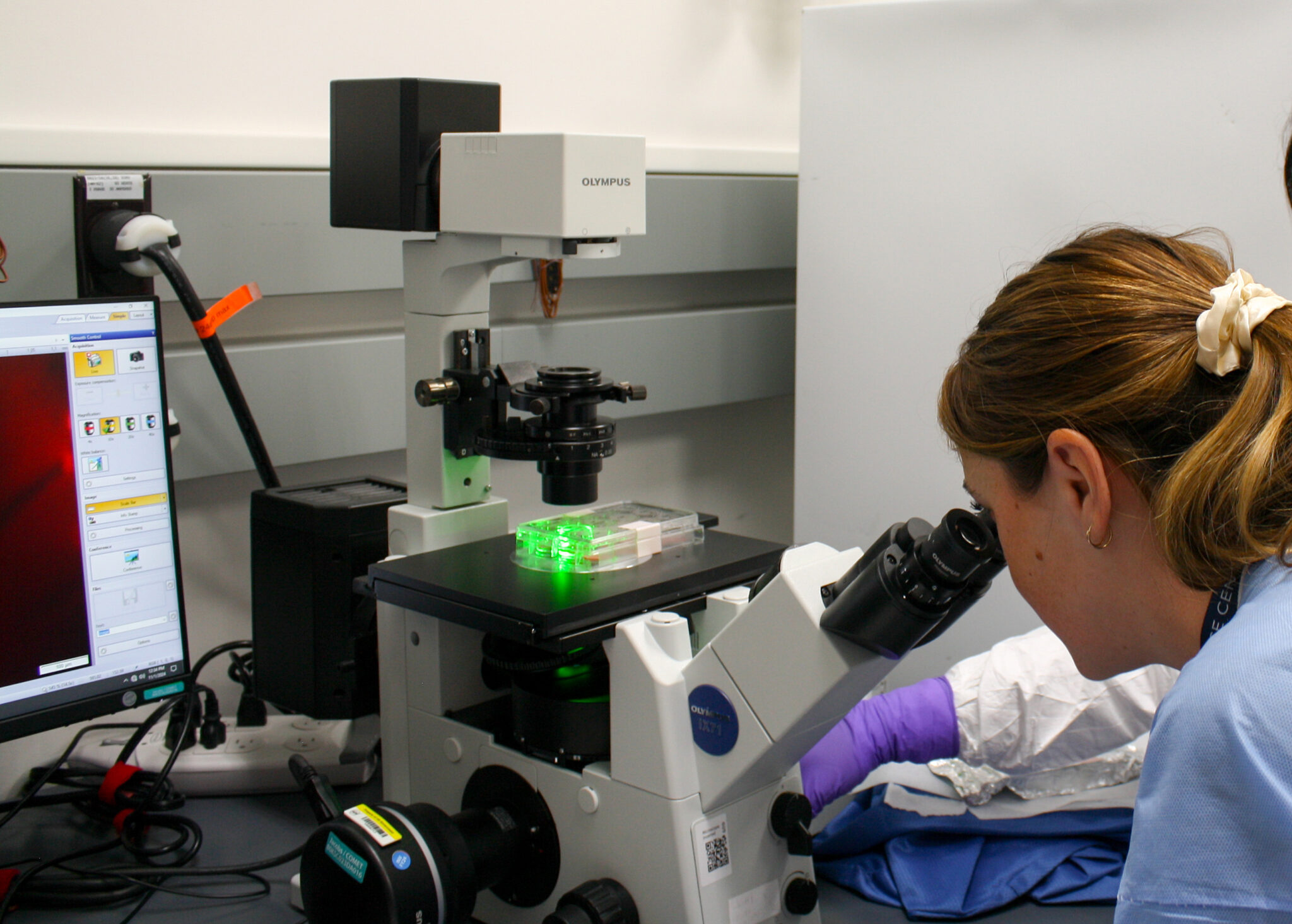 Studying ‘mini hearts’ in space helps scientists understand how ...