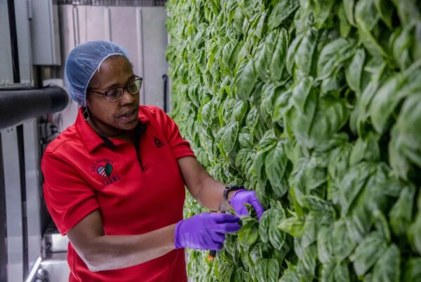 USDA shuts down assistance program for small food-related businesses