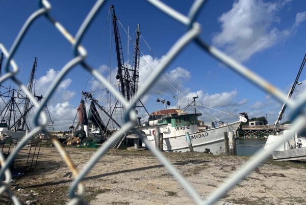 The Texas shrimping industry is on its deathbed. Will a new law help?