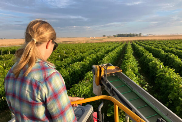 Americans are drinking less. What’s that mean for winemakers in the Hill Country and Heartland?