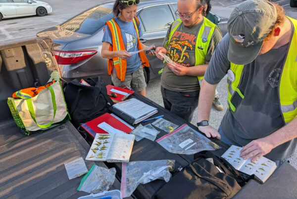 These volunteers are asking Dallas to save birds by rethinking the new convention center