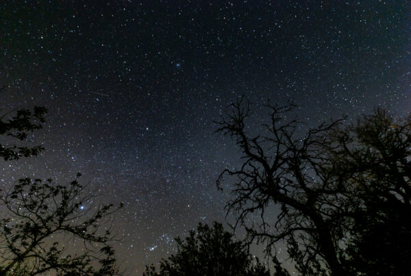 Typewriter Rodeo: Stars (for Madeleine)