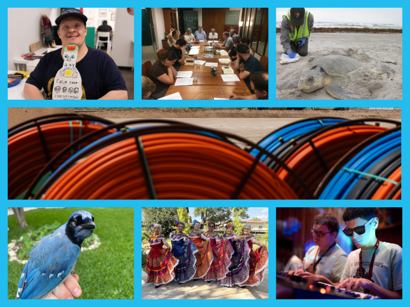 Texas Standard for Dec. 25, 2025: Our favorite feel-good segments of the year