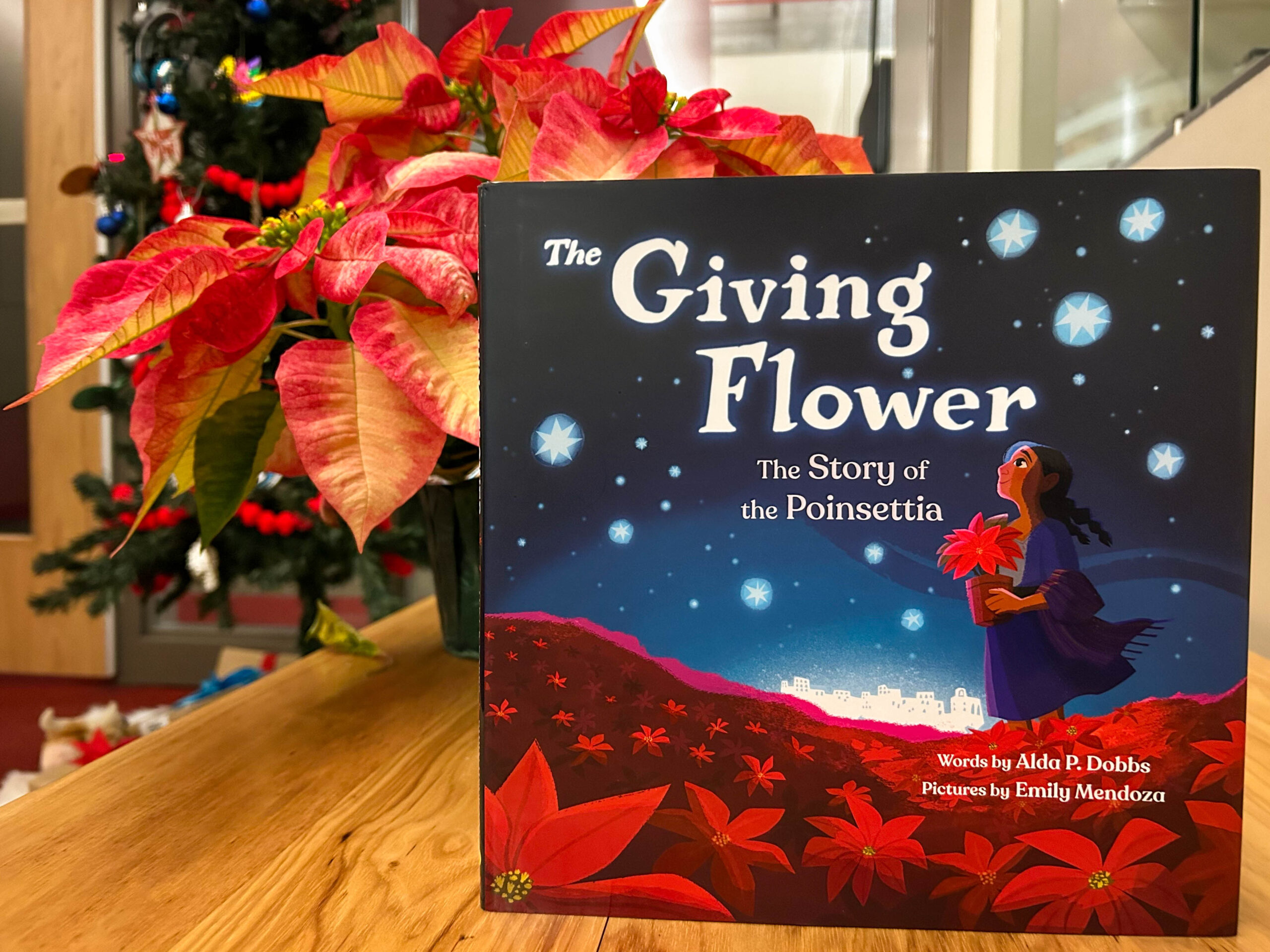 ‘The Giving Flower’ gives kids the backstory to the poinsettia