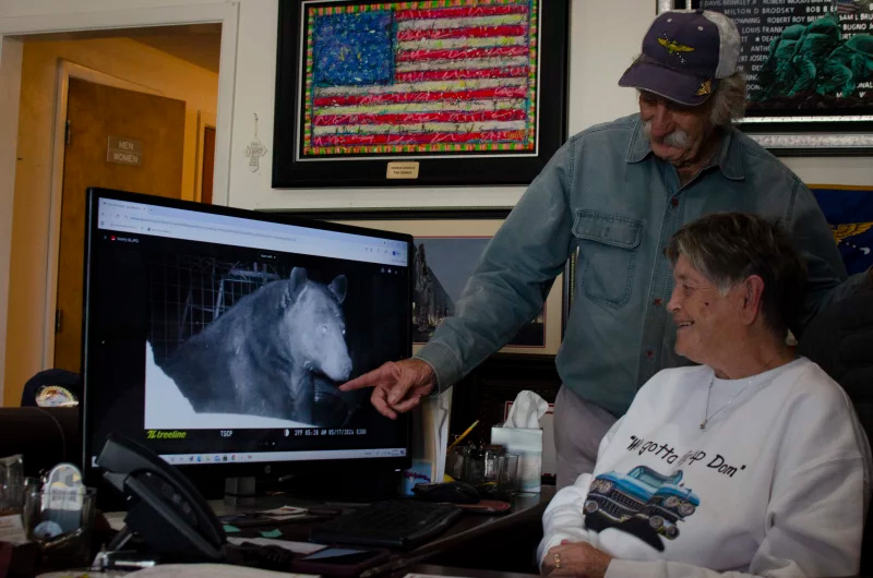 Black bear populations are bouncing back. Here’s how these Texas towns are coping