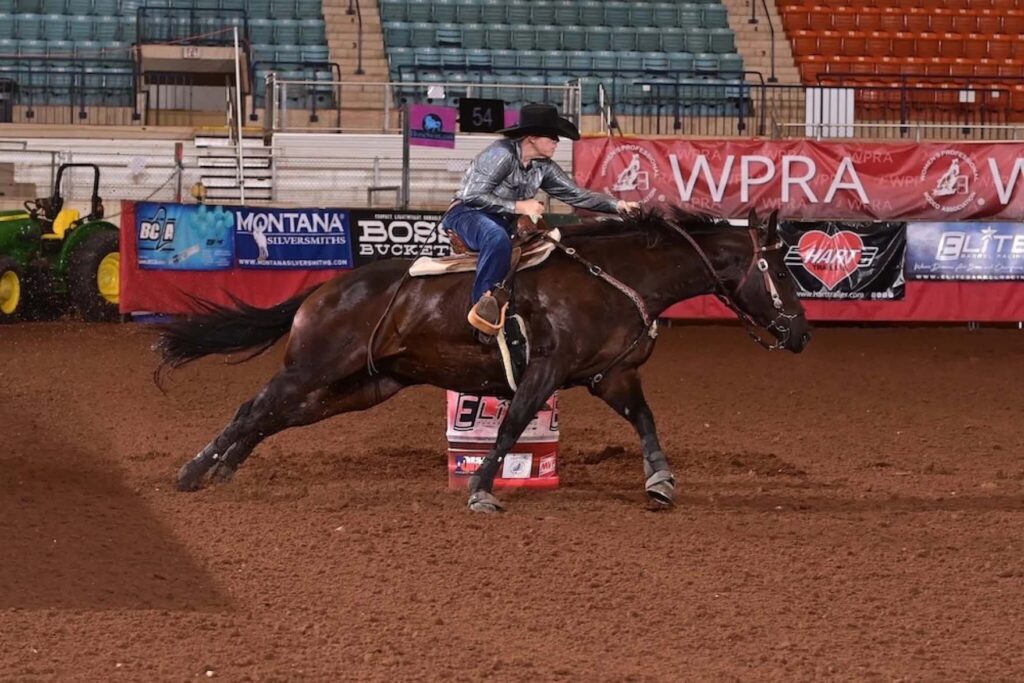 Dangerous horse virus appears to be slowing after Texas event outbreak, but vets still urge caution