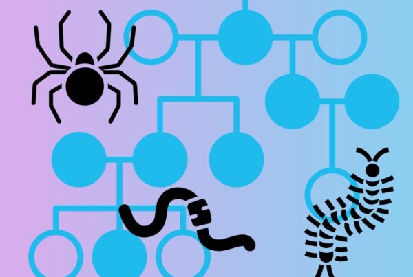 A graphic image shows an icon of a spider, a worm and a centipede on top of a colorful background with connecting dots and lines that represent something akin to a family tree.