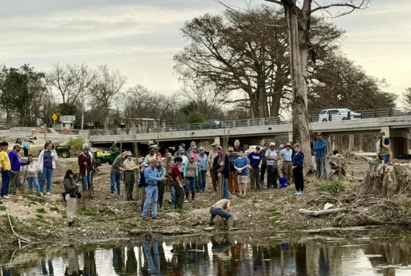They came back to plant what the flood took away