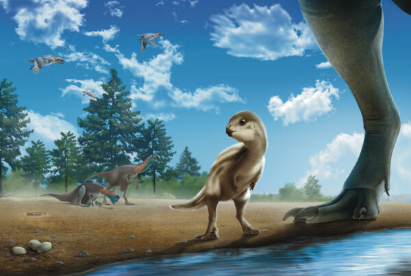 UT Austin researchers discover new dinosaur species in Korea