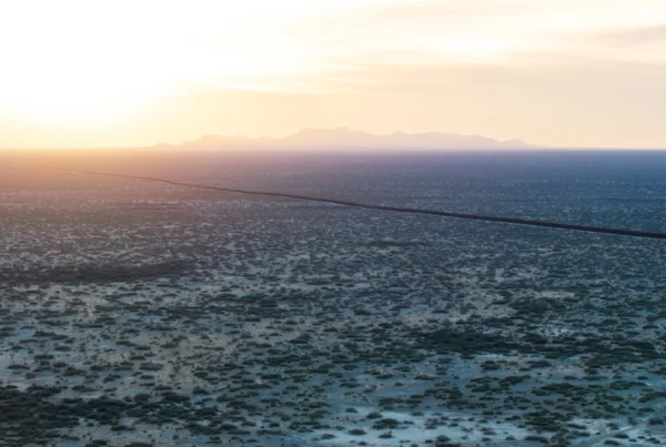 Trump’s DOJ is pushing prosecutors to pursue ‘fatally flawed’ cases against Texas border crossers