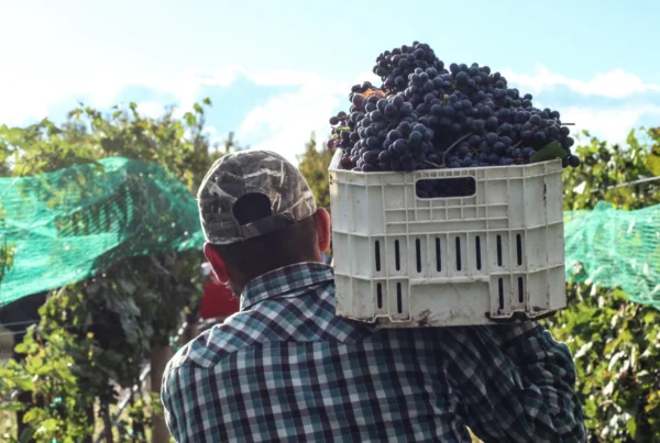 Trump’s foreign farm worker policy criticized by both unions and ‘America First’ groups