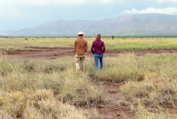 New PBS ‘Daytripper’ series takes Texans on tour of the state’s protected landscapes