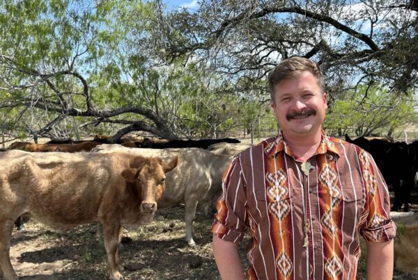 Fed up with sky-high beef prices? Some people are stocking their freezers with a whole cow