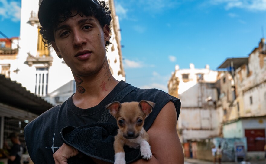 A teenager with a Chihuahua puppy on a sunny day in the streets of Havana.